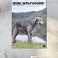 Irish Wolfhound Calendar 2025