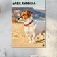 Jack Russell Calendar 2025