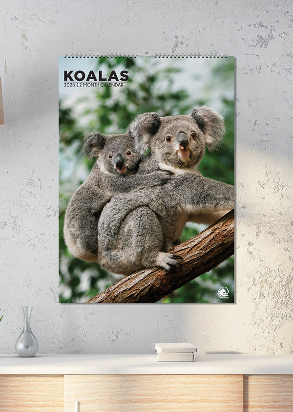 Koalas Calendar 2025 – CalendarsRus