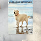 Labrador Retriever Calendar 2024