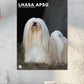 Lhasa Apso Calendar 2025