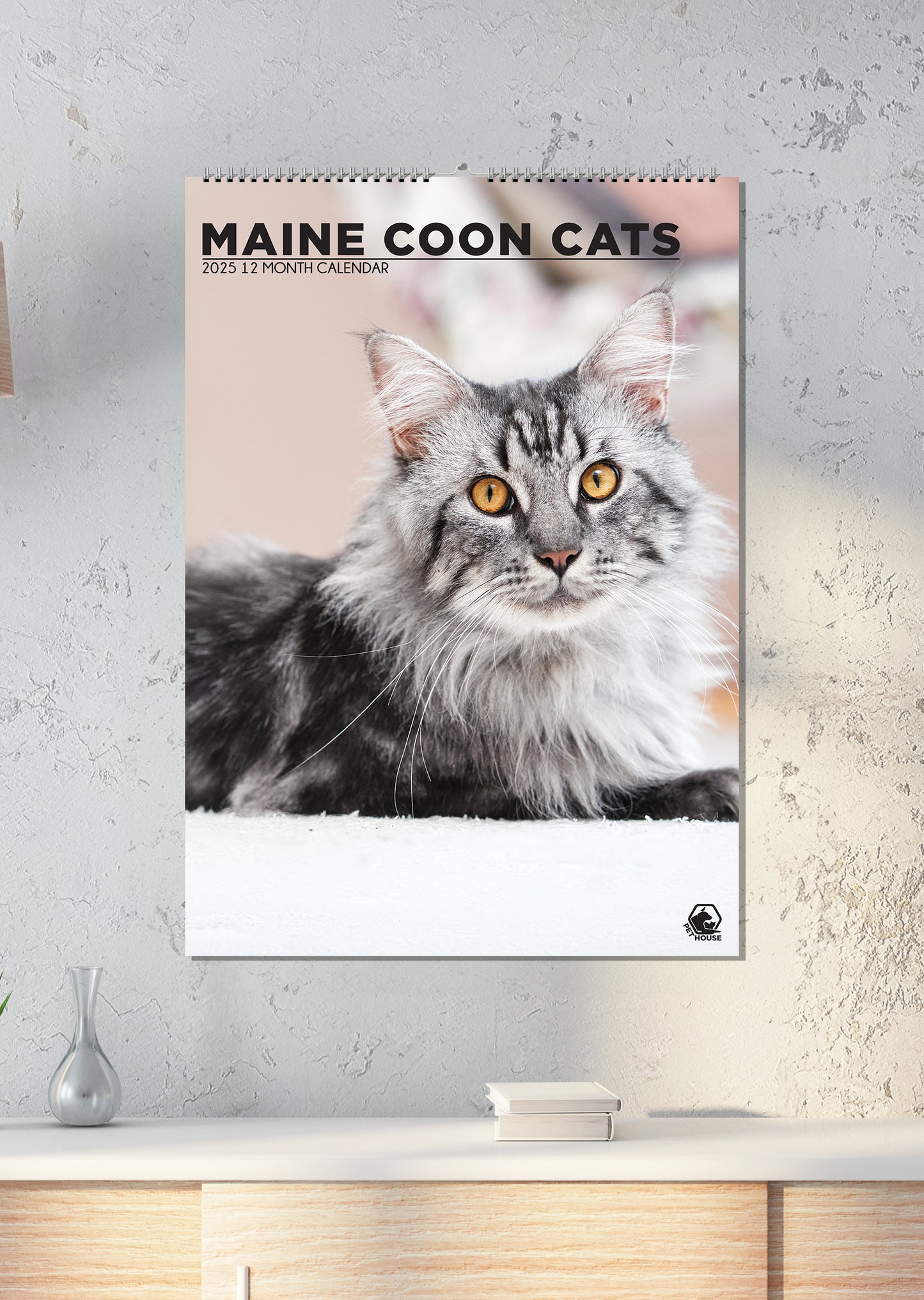 Maine Coon Cats Calendar 2024