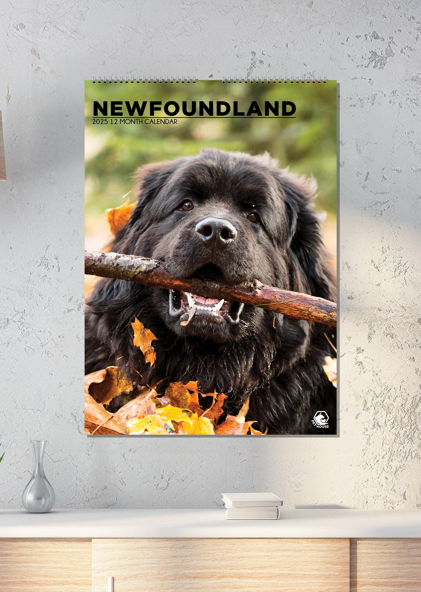 Newfoundland Calendar 2025