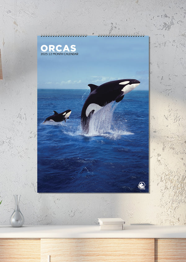 Orcas Calendar 2025 CalendarsRus