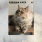 Persian Cats Calendar 2025