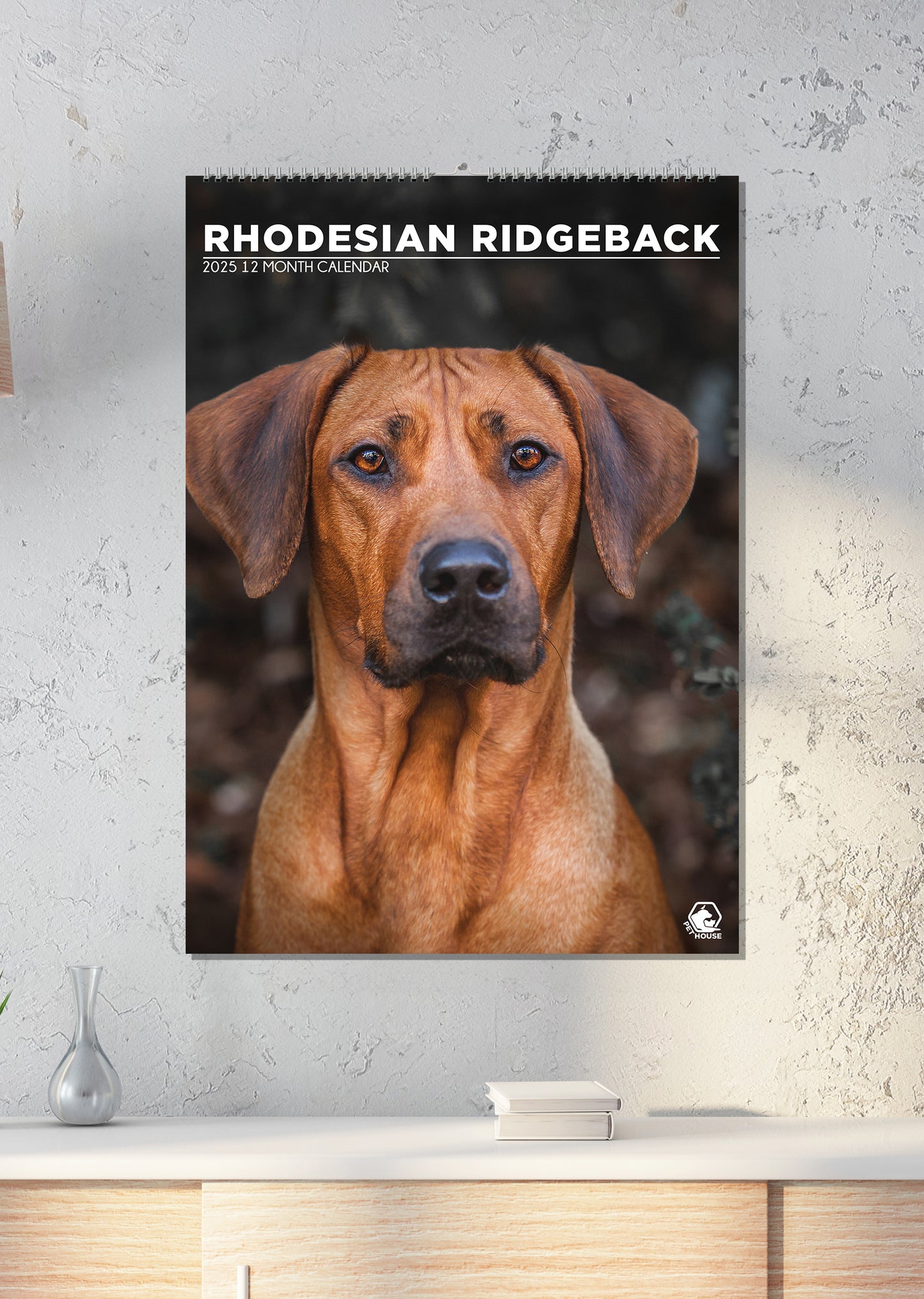 Rhodesian Ridgeback Calendar 2025