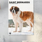 Saint Bernard Calendar 2025