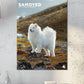 Samoyed Calendar 2025