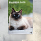 Siamese Cats Calendar 2025