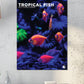 Tropical Fish Calendar 2025