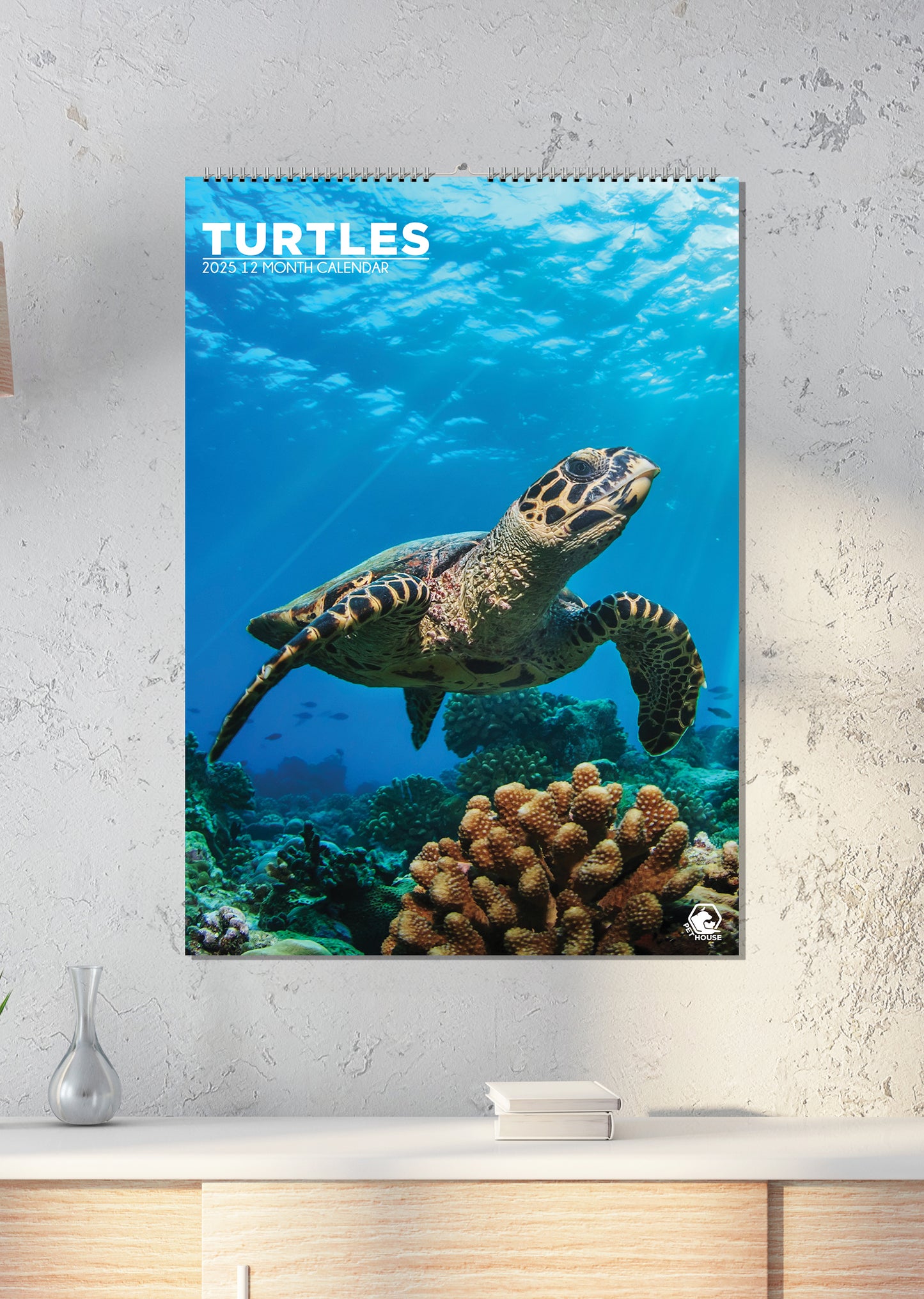 Turtles Calendar 2025