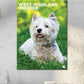 West Highland Terrier Calendar 2025